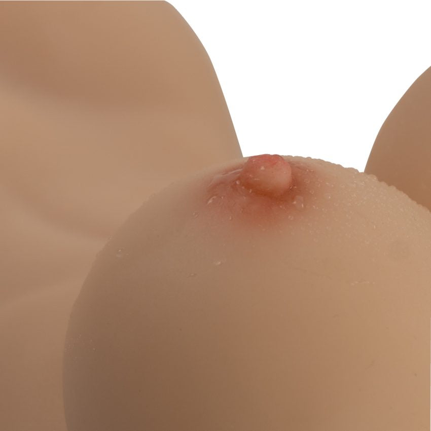 Torso Transexual Rupol